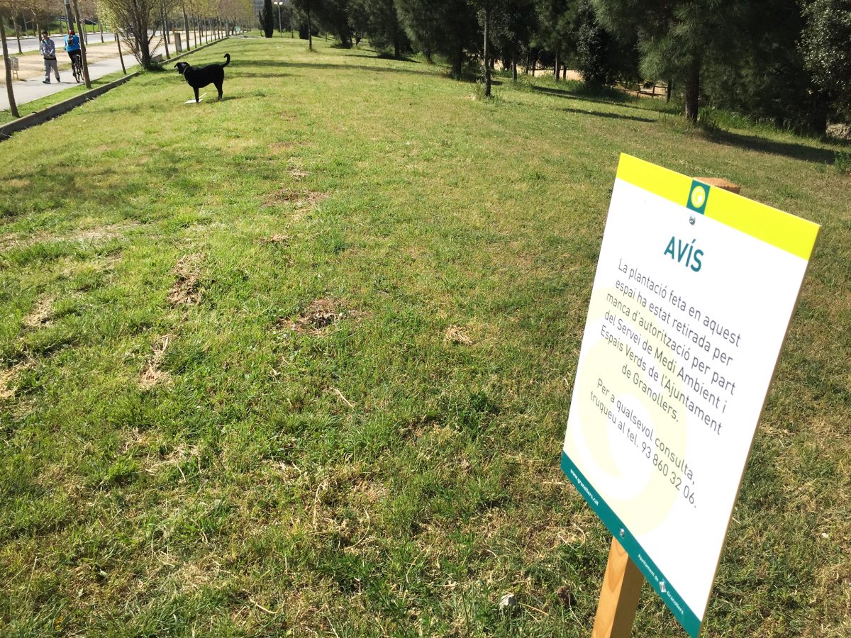 El cartell que informa de la retirada dels arbres plantats al parc