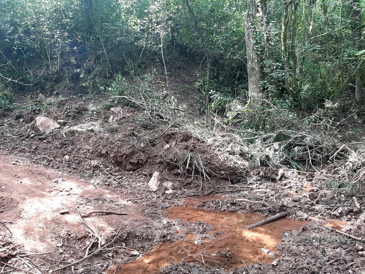 La tallada a la zona del torrent i la finca del Bac