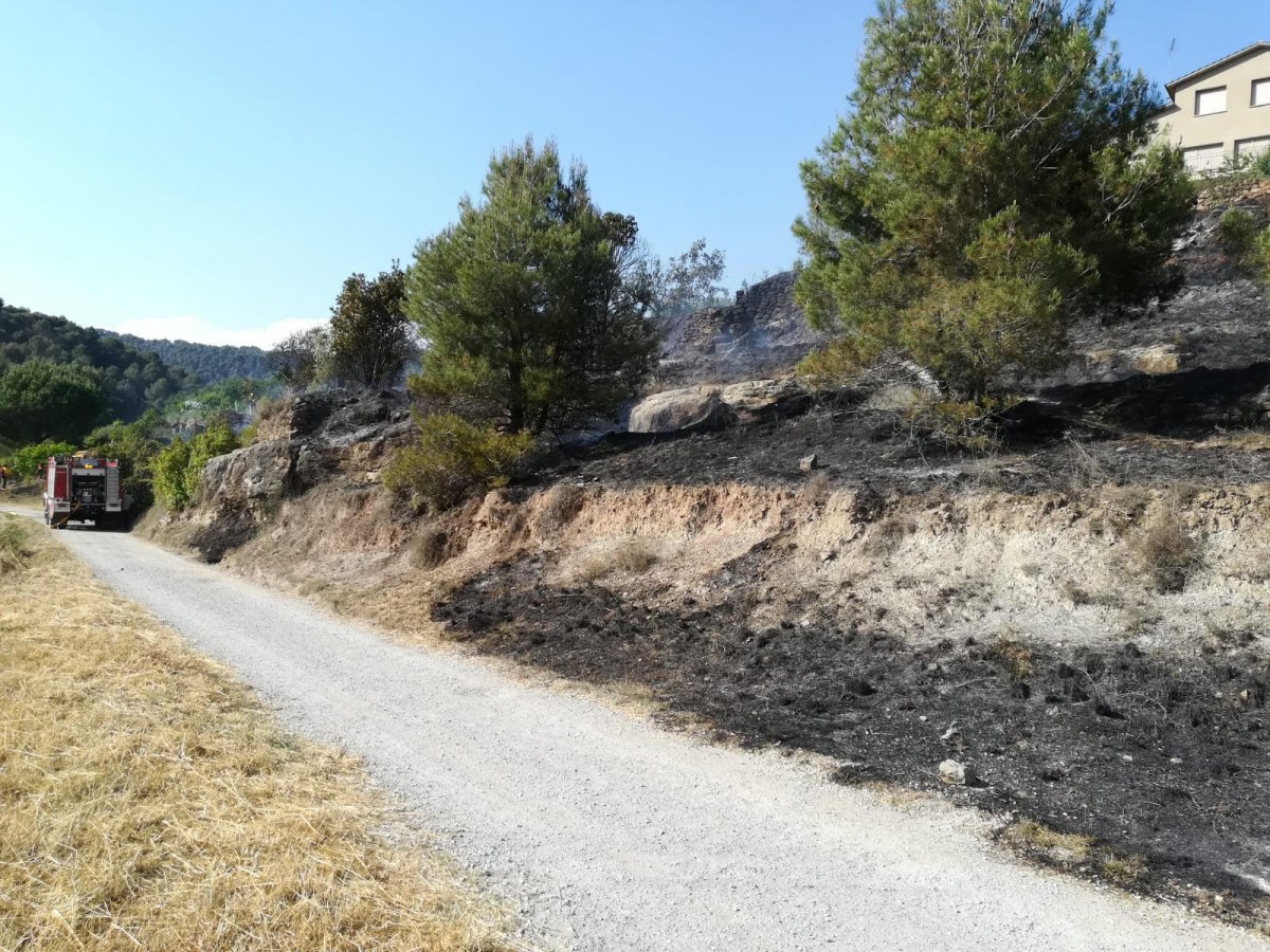 Els marges cremats per l'incendi del 5 de juliol a Sant Feliu