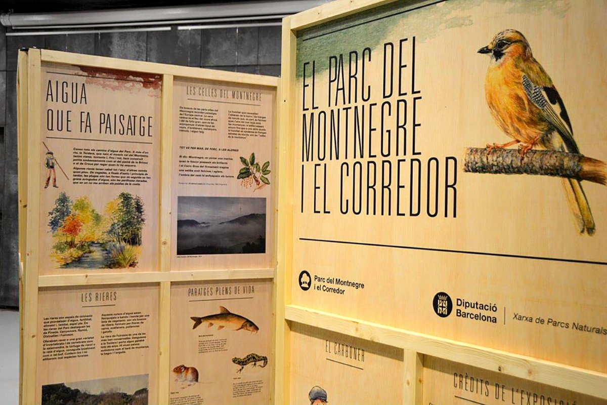La mostra arrenca a Vallgorguina i es podrà veure en altres municipis