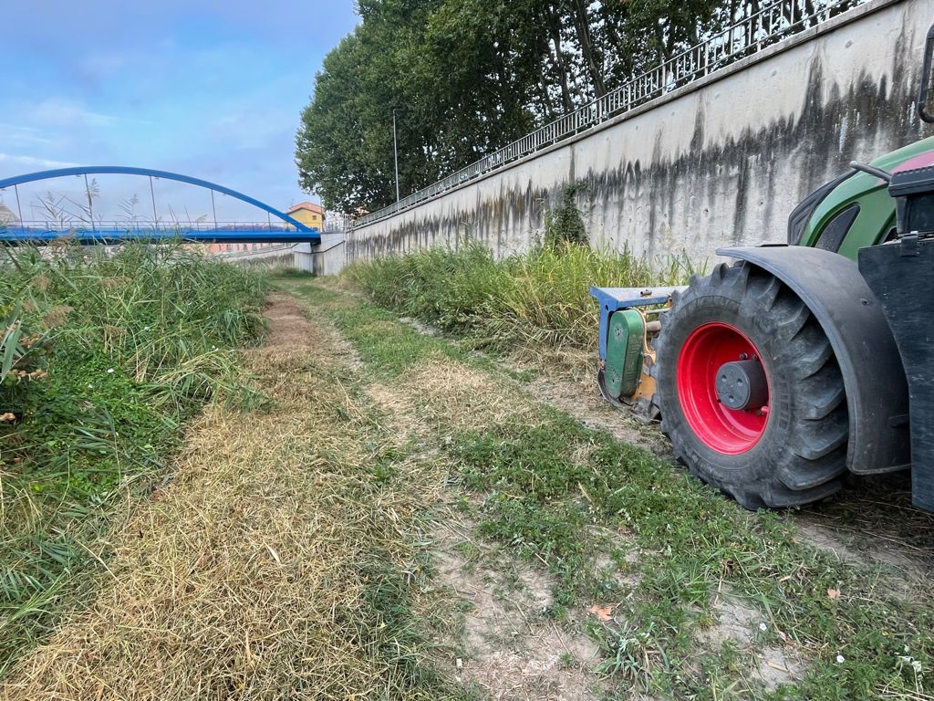 Una imatge del desbrossament