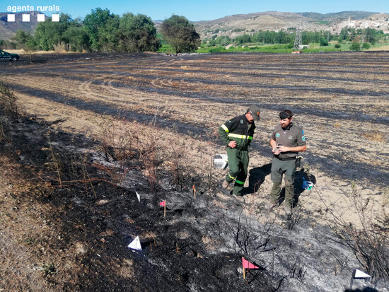 Agents rurals investigant les causes d'un incendi de vegetació d'Alfarràs (Segrià), el juny passat