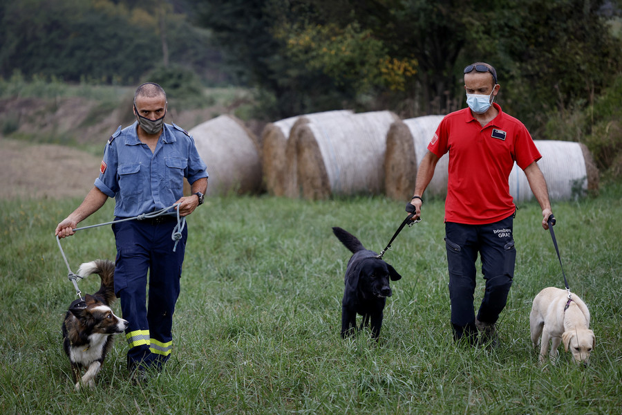 Àlex Moya, amb el gos de venteig Frausa, i Andreu Morera, amb els gossos de rastreig Xot i Lia, dissabte a Vic