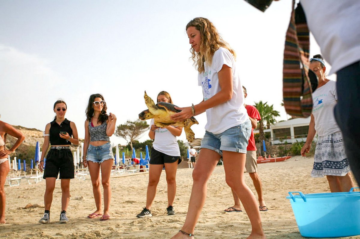 Maria Arnó durant el voluntariat a Lampedusa en l'alliberament d'una tortuga recuperada