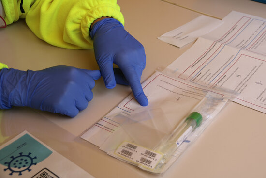 Detall del kit per a les automostres per a la PCR