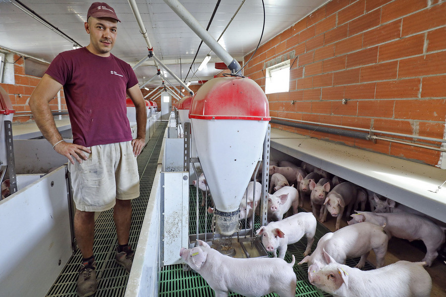 Oriol Rovira, a la granja de garrins del Mas Terricabras. Advoca pel consum de carn de qualitat