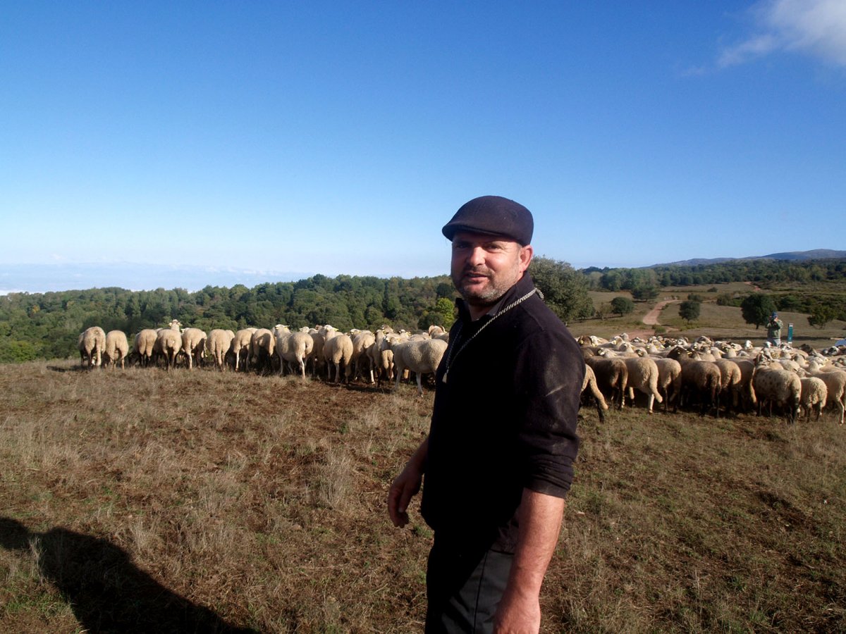 Josep Ramírez, un dels pastors que té ramats al Pla de la Calma