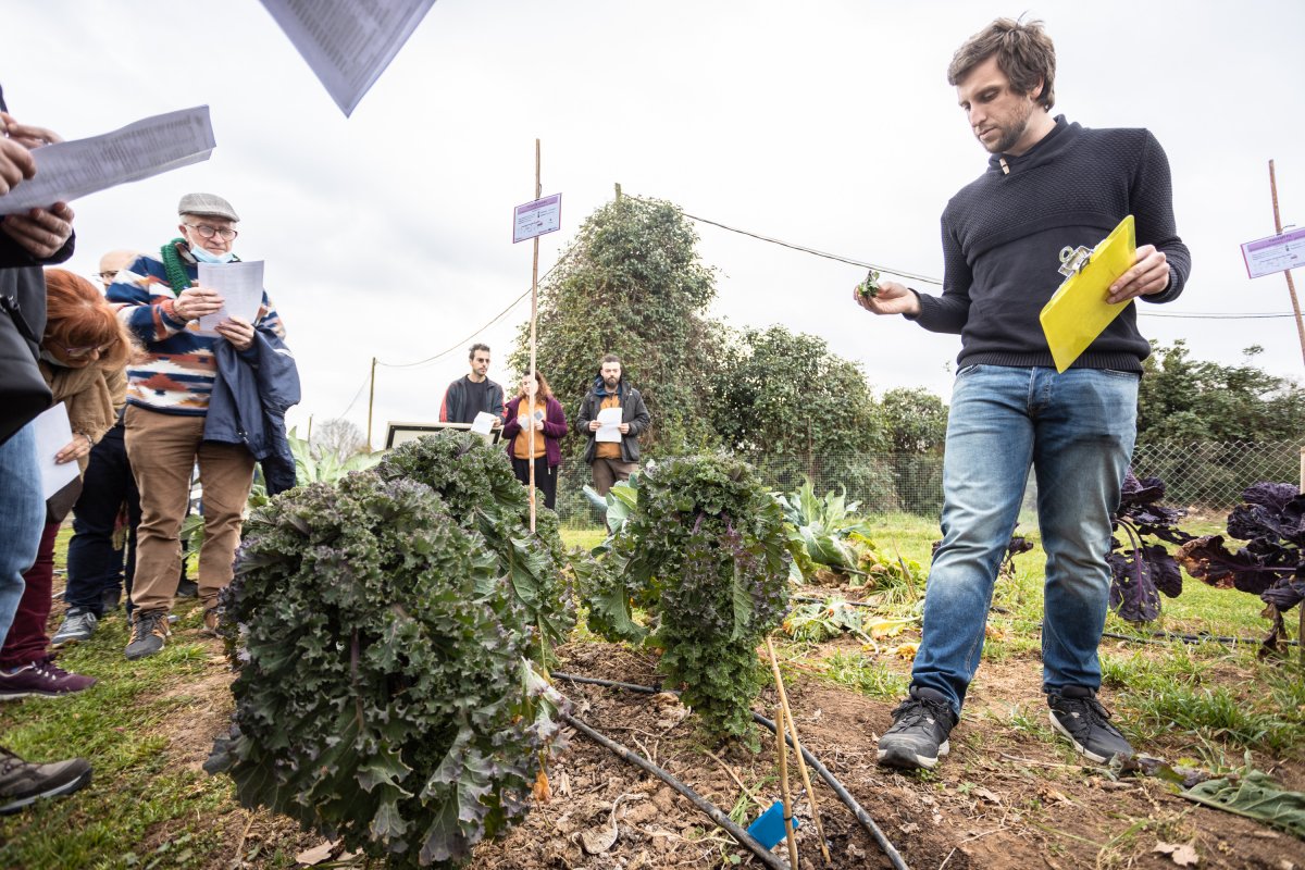 Ernest Aymerich parla durant la visita al camp experimental de Gallecs