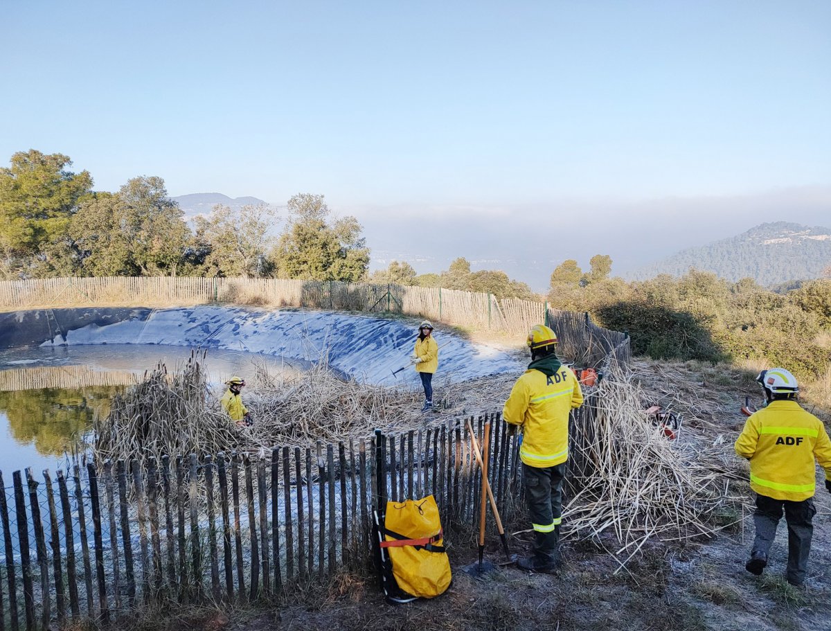 Membres de l'ADF Montseny-Congost netejant la bassa de CAn Plans, a Figaró