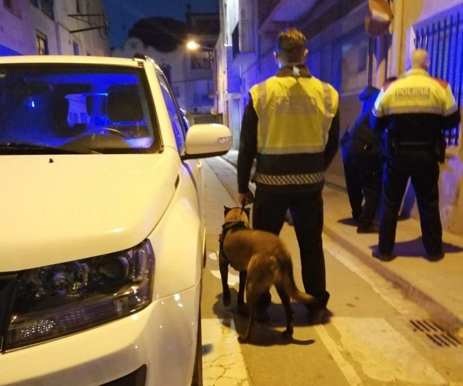 Hi ha participat la unitat canina de la Policia Local de Santa Maria de Palautordera