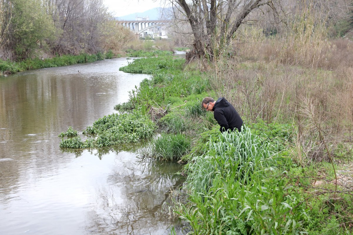 Manel Isnard, tècnic del CBT, inspeccionant l'entorn del riu a la zona de l'aiguabarreig del Congost i del Mogent