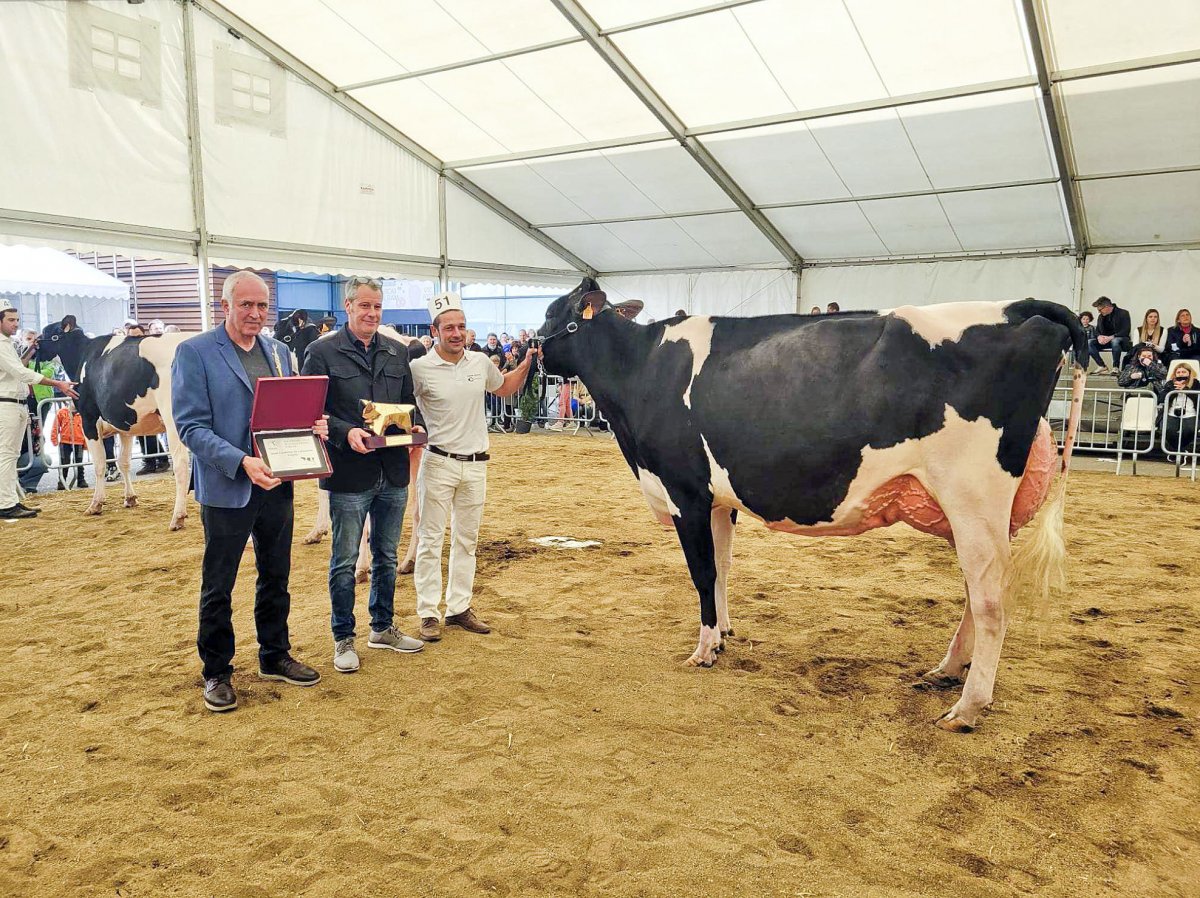 La vaca Kerinci Deman, gran campiona de Catalunya al 22è concurs del Mercat del Ram