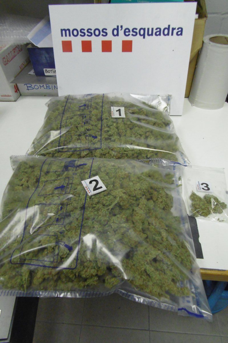 La marihuana que portaven els detinguts