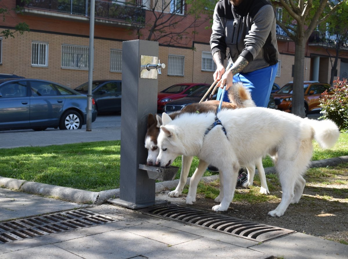 Una de les noves fonts duals instal·lades a Mollet