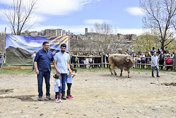 Els responsables del Mas Pinós i el toro guanyador, al fons
