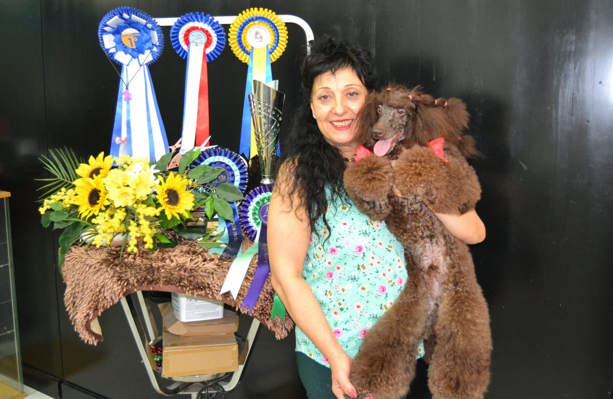 Sapinya, amb el gos que li va valer el primer lloc al campionat, Lat Cacaolat de Torkentall