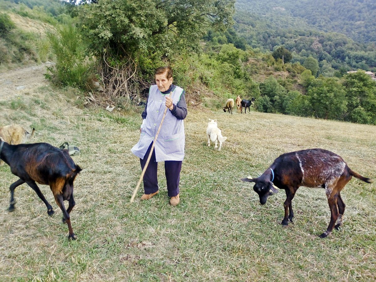 Marina Vilalta, amb el ramat, el passat dimecres