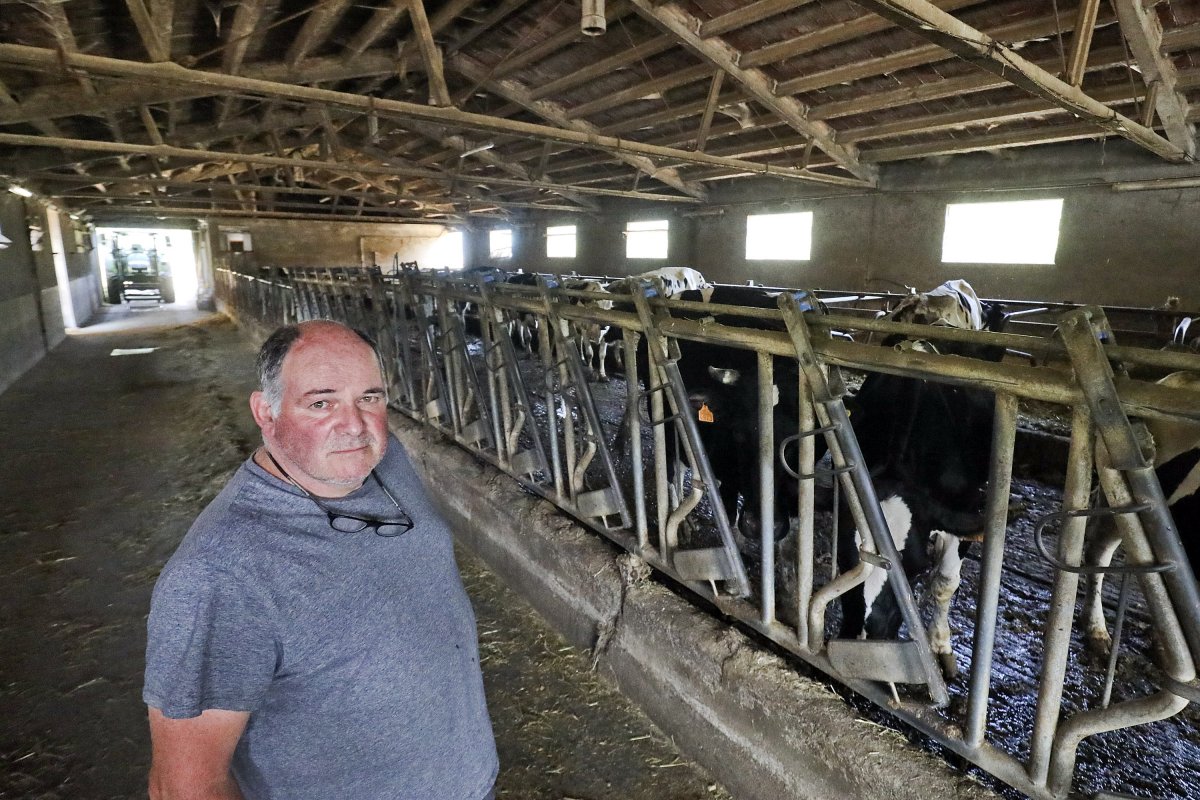 Xavier Gironès, a la granja de vaques que reconvertirà a finals d'aquest any