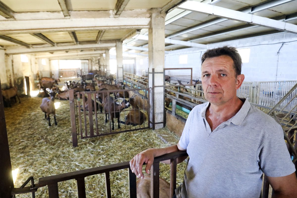 Francesc Molins a la seva explotació de cabrum de llet a Moià, on té cura d'un centenar de cabres i algunes ovelles