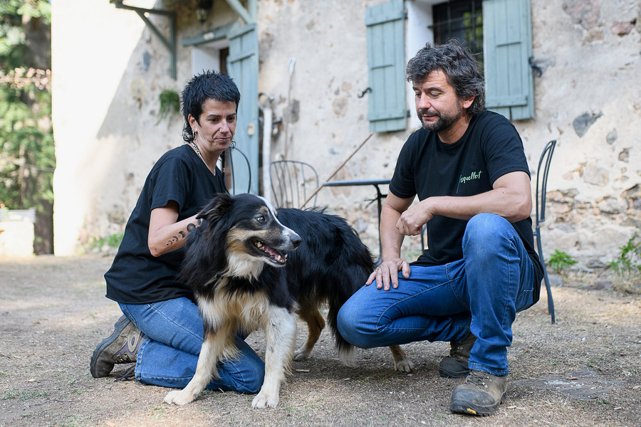 “La pau que et dona la pastura no te la transmet res més”