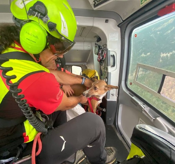 El gos, poc després de ser rescatat, a l'helicòpter del GRAE