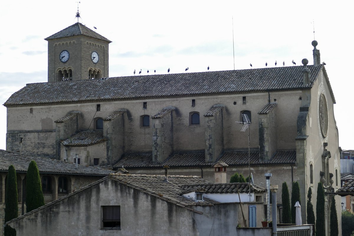 Les cigonyes van fer parada en llocs ben visibles de Taradell com la teulada de l'Església