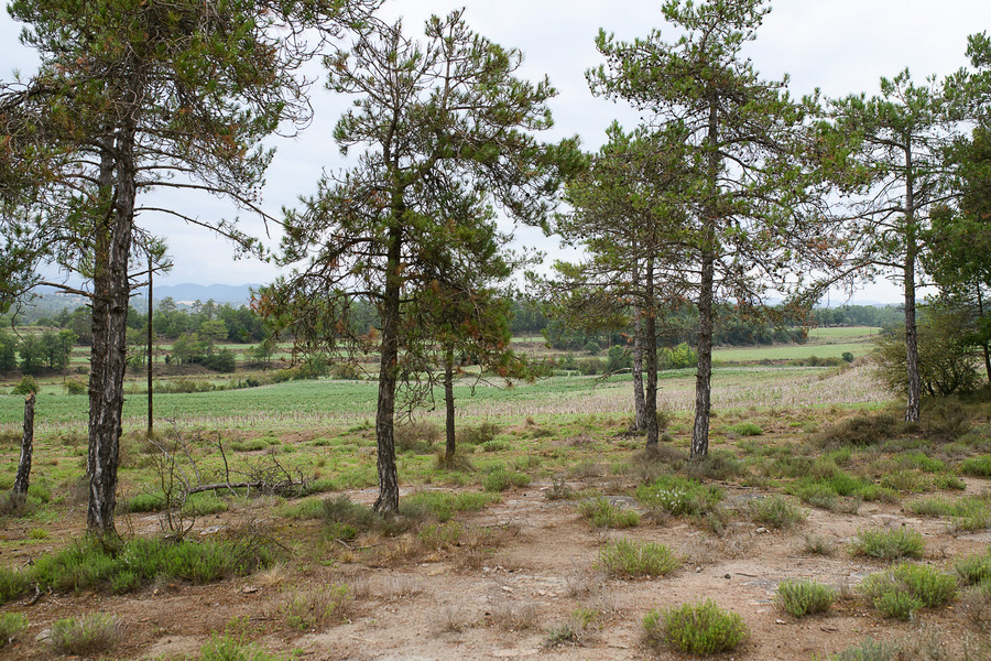 El punt on tindran lloc les prospeccions, als afores d'Olost