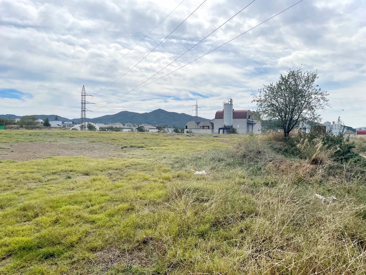 Els terrenys que compra l'Ajuntament a Palou