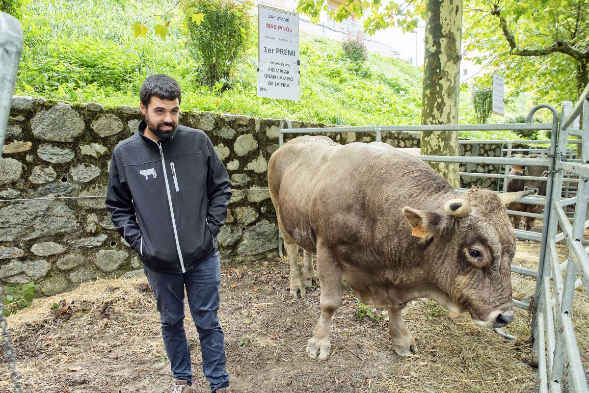 El toro Ballarín fill amb el ramader de Mas Pinós, Jaume Casas