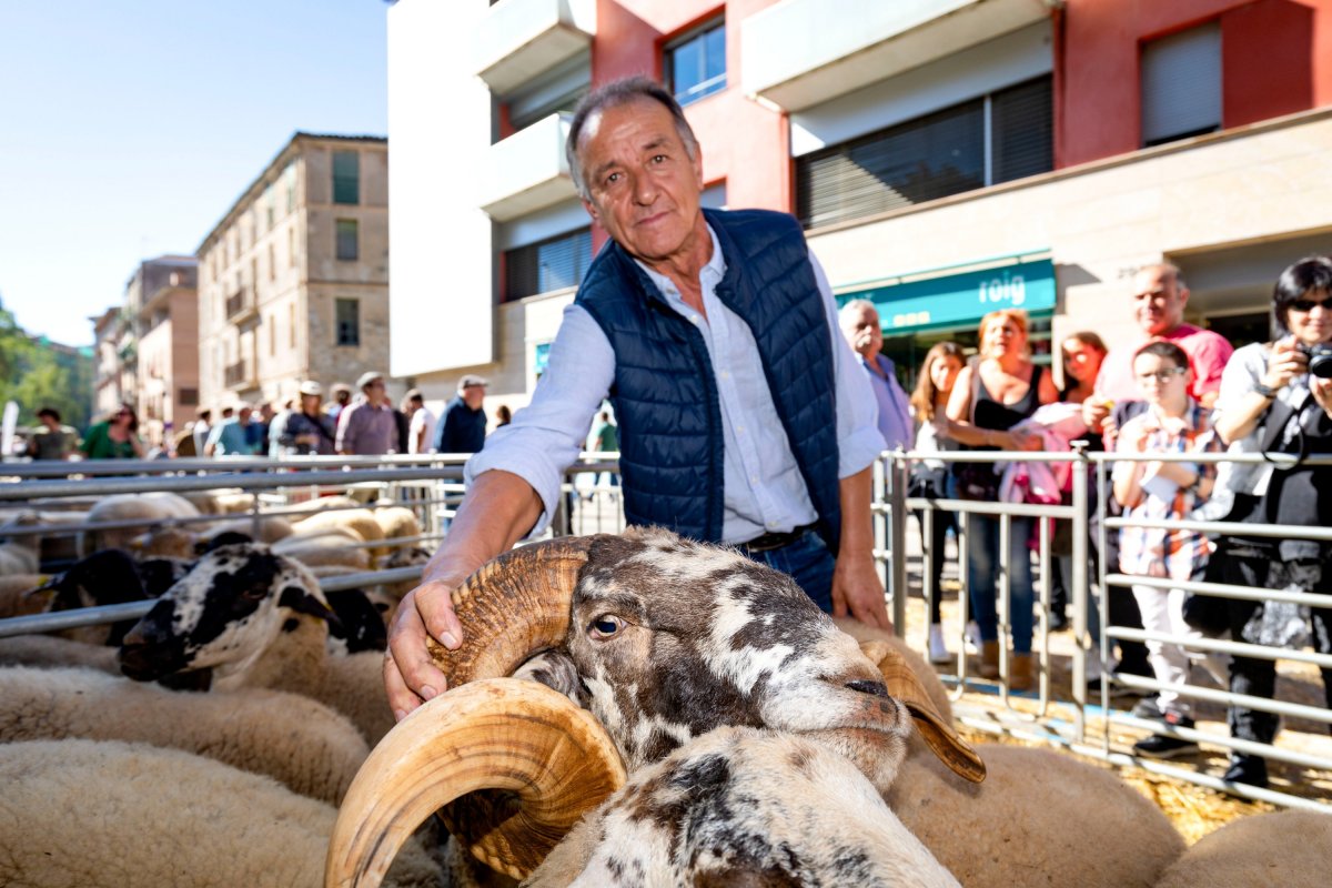 El responsable de Can Pere Toia, de Castellar de n'Hug, mostrant el marrà guanyador del Premi Maurici Camprubí