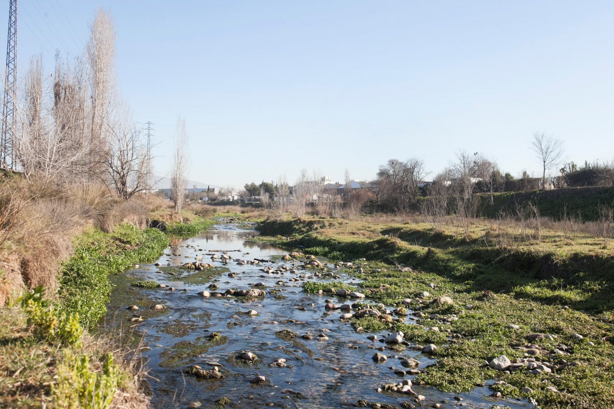 La llera del riu Tenes a Parets