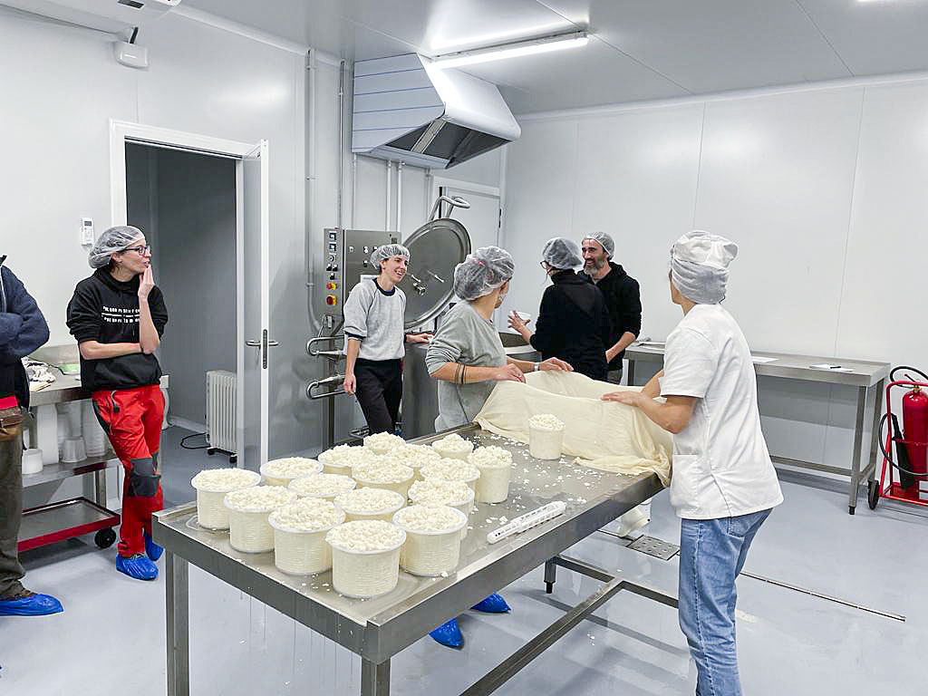 Una de les formacions de formatgeria fetes recentment a El Quall, a Alpens
