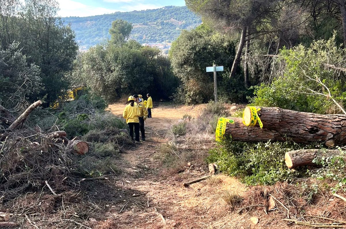 Membres de l'ADF durant l'actuació del cap de setmana passat