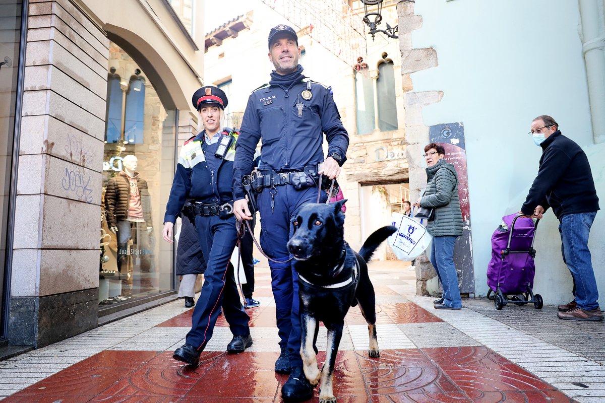 Una patrulla mixta a Granollers amb en Crusher, un dels gossos de la unitat canina de la Policia Local
