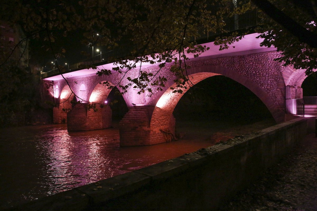 La il·luminació del pont de Manlleu va funcionar poc temps