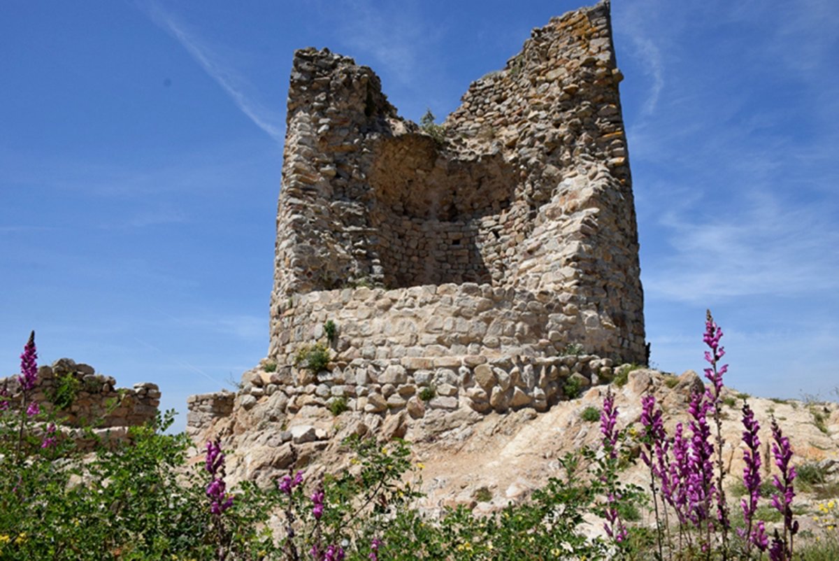 El Castell de Sant Miquel està considerat Bé Cultural d'Interès Nacional