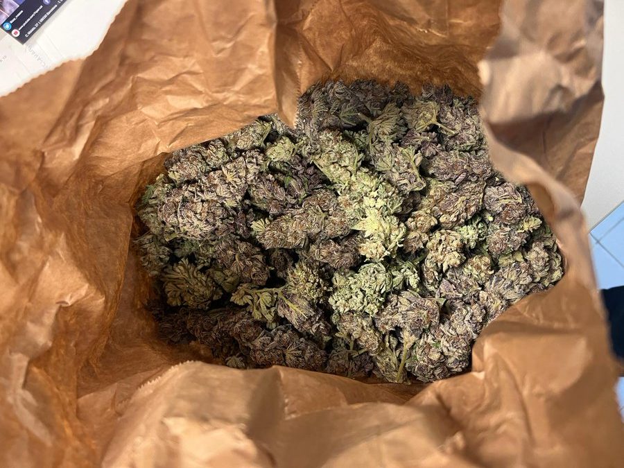 La bossa amb la marihuana requisada