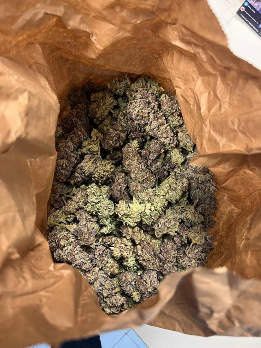 La bossa de marihuana interceptada pels Mossos