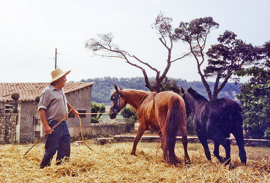 Joan Lleopart recreant les feines del camp al Colomer, a finals dels anys vuitanta
