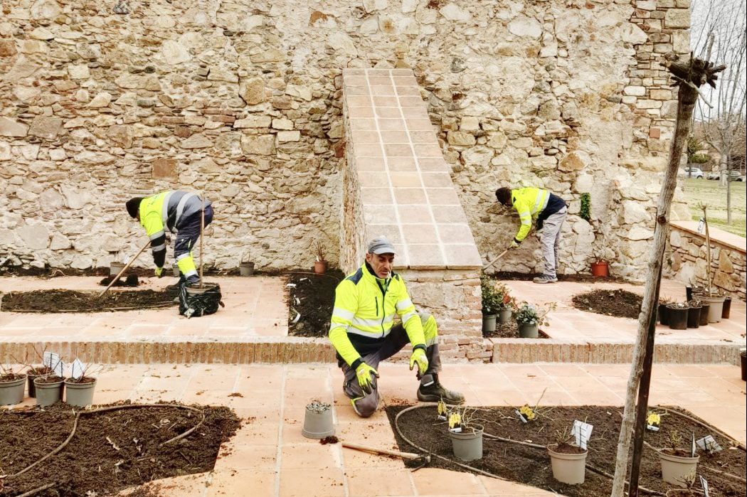 Treballadors municipals planten rosers al Castell Nou de Llinars