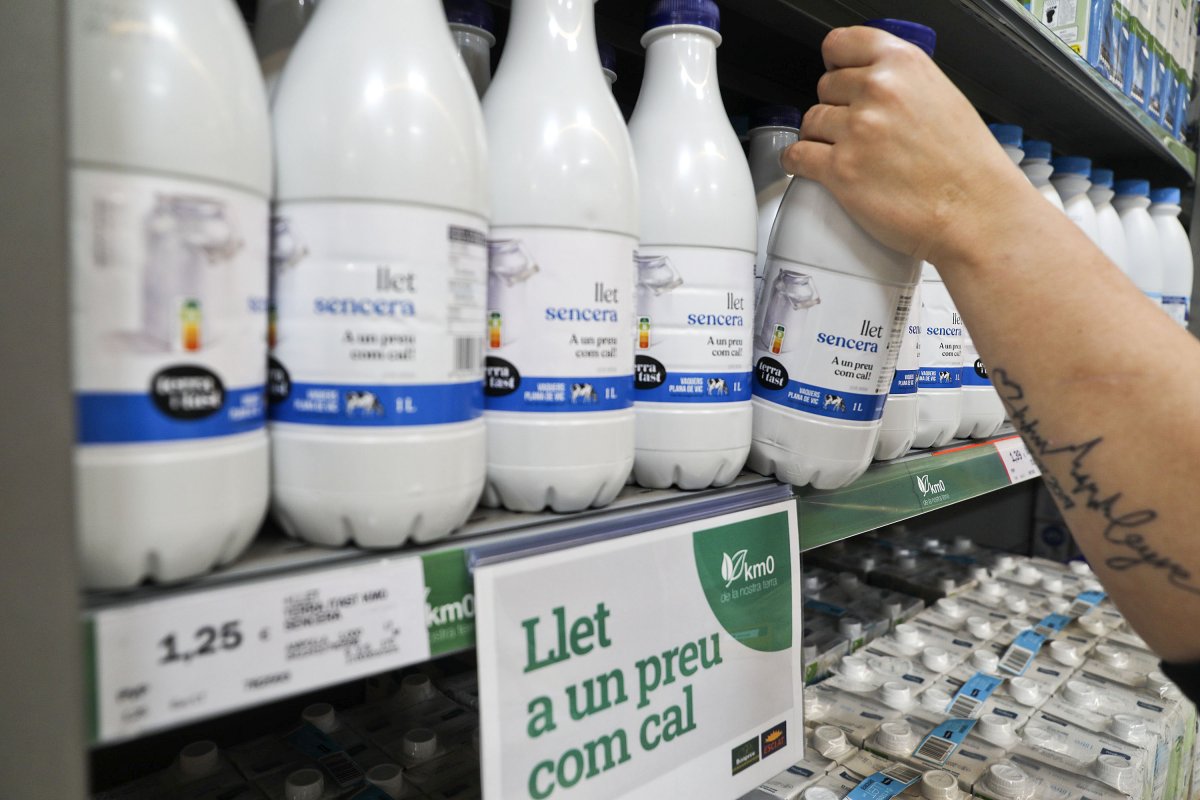 S’han venut més d’un milió de litres de llet Terra i Tast en un any