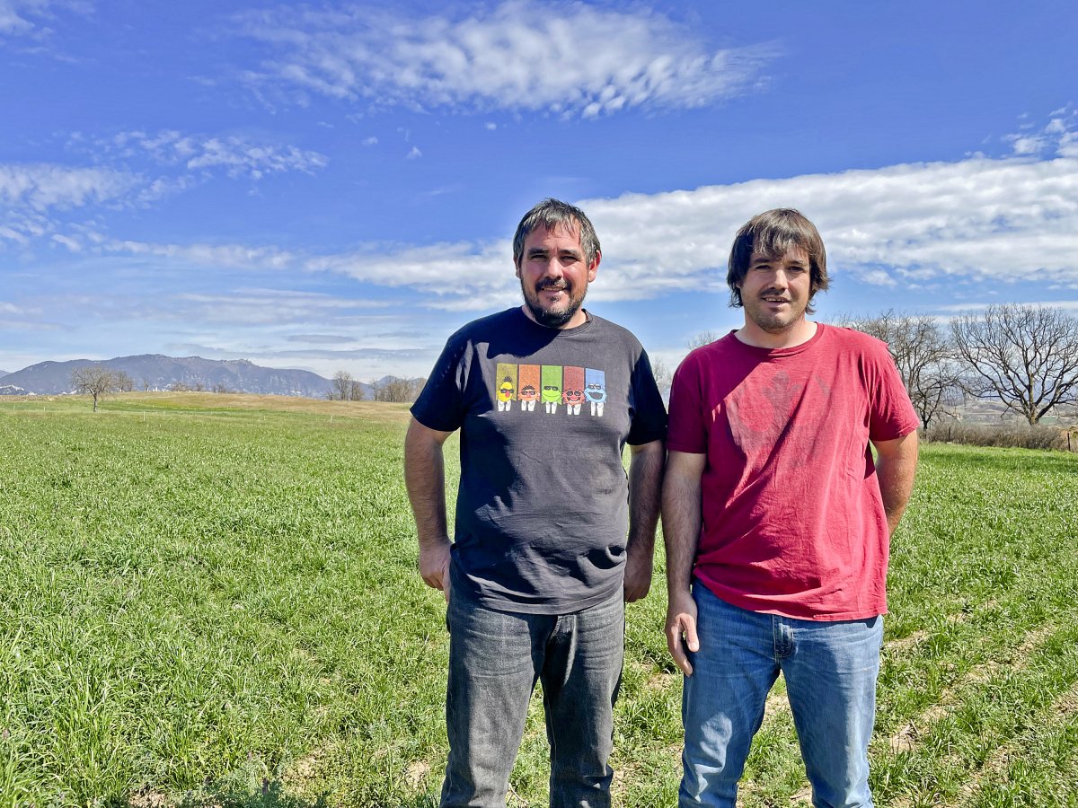 Els germans Pep i Quico Llach, en un dels prats de pastura de les Gambires