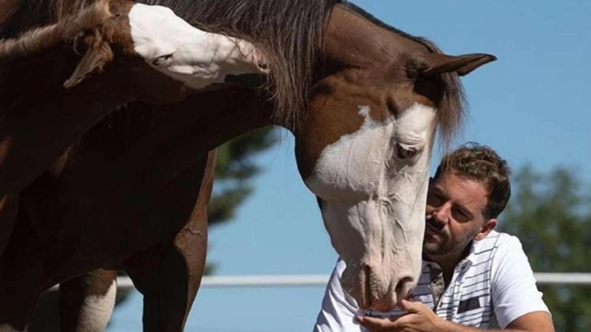 'Hermano caballo' arribarà d'aquí uns dies als cinemes