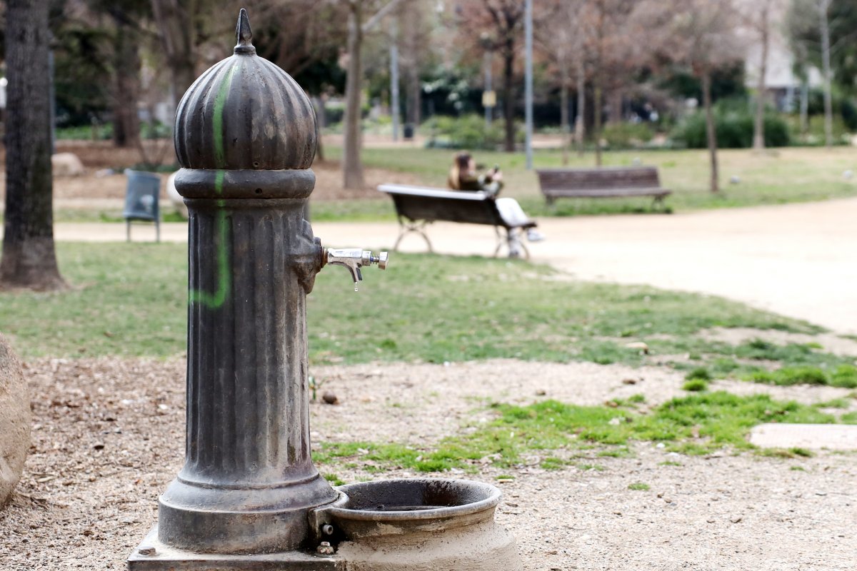 Una font al parc Torras Villà, de Granollers