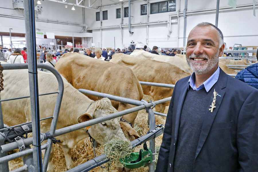Bernat Vilarasau, dissabte, a la mostra de bestiar del Mercat del Ram
