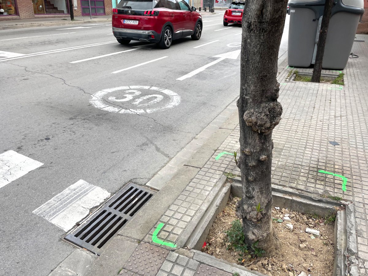 Les marques que indiquen els panots que es retiraran en un dels arbres