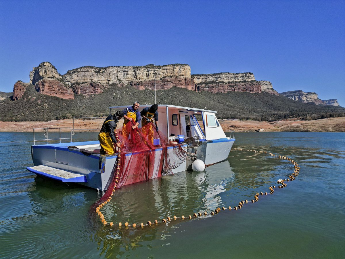 Una de les barques, durant els primers dies d'extracció