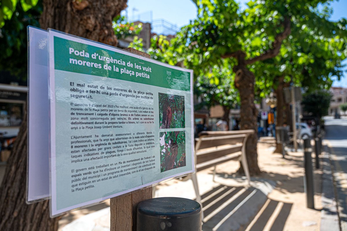 Un cartell avisa de la poda dels arbres