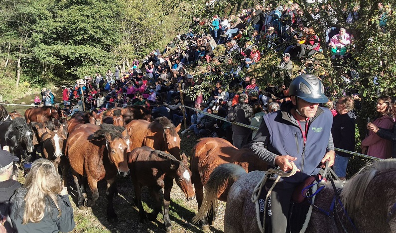 Uns 300 caps d’equí tornaven divendres de la muntanya de Rojà fins a les planes d’Espinavell
