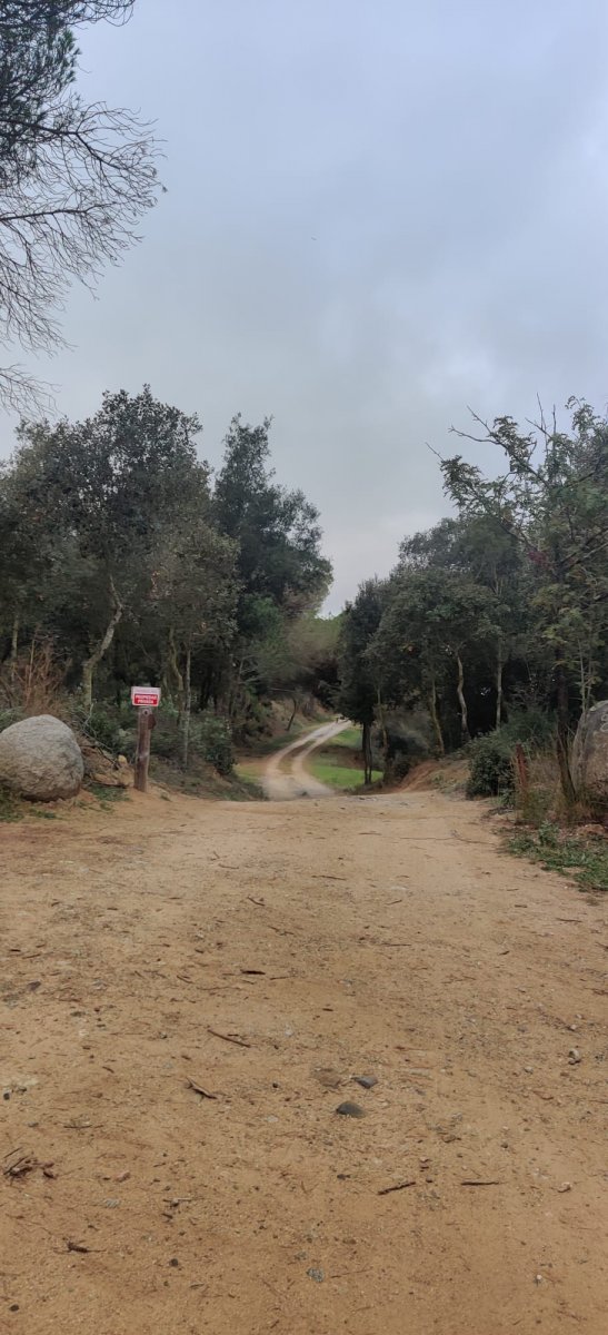 Un dels camins en què s'ha treballat